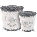 Metal Bee Bucket Set